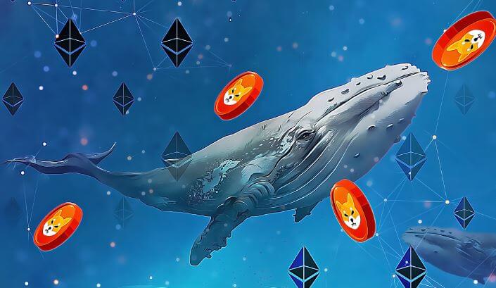 Tin tức Shib ngày 25 tháng 6: Cá voi Ethereum đã mua hơn 150 tỷ SHIB trong 24 giờ Tin tức Shib ngày 25 tháng 6
