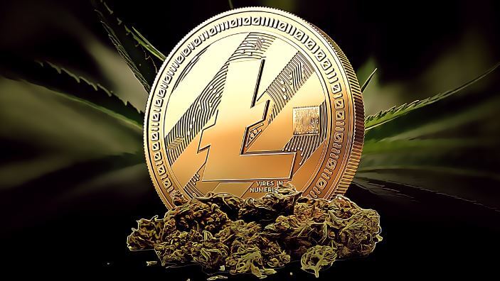 LTC falls below bullish order block