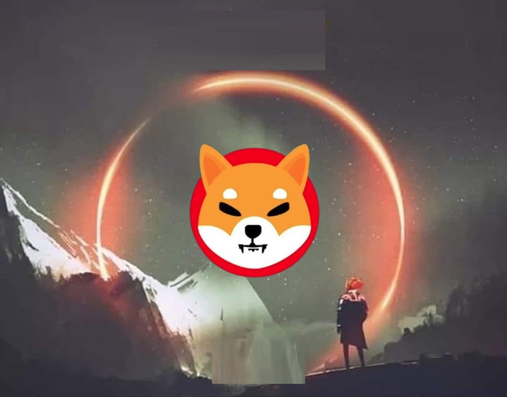 Shiba Inu giảm
