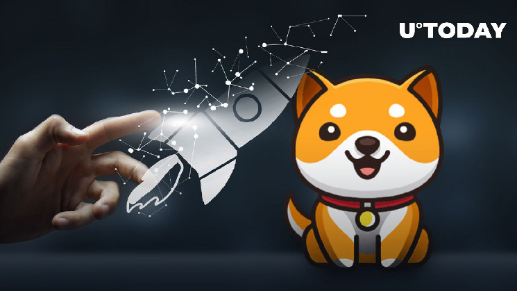 Còn một ngày trước khi ra mắt Baby Doge Swap, Nhóm rất hào hứng