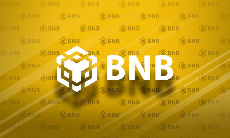 Phân tích kỹ thuật BNB: Chu kỳ gấu bắt đầu với BNB Hack