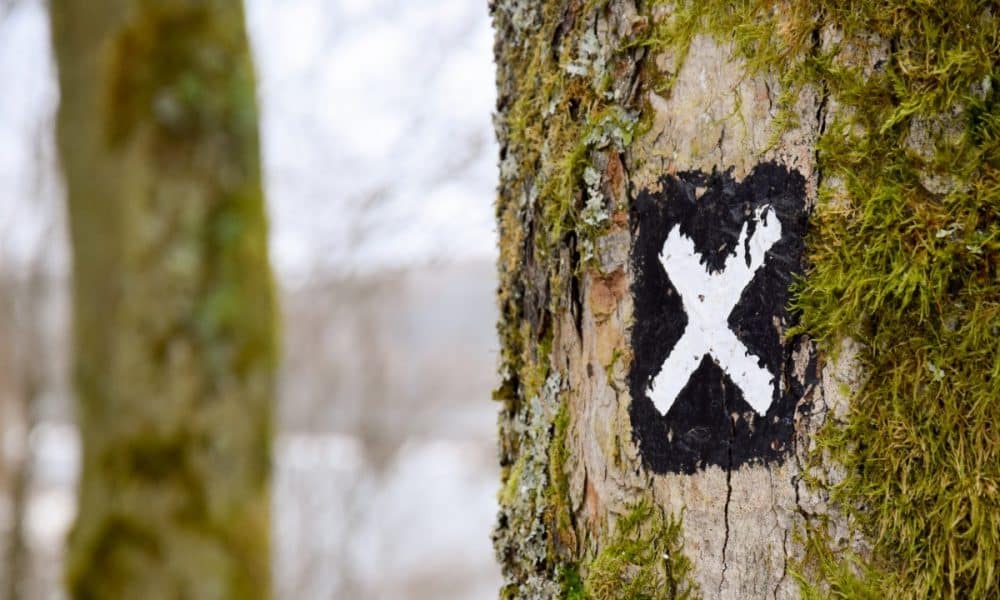 Ripple [XRP]: Trước khi bạn trở thành một phần của thoát thanh khoản, hãy đọc phần này