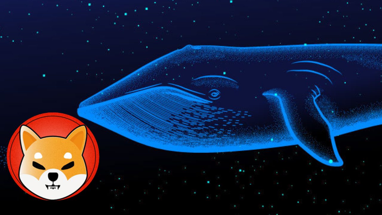 Shiba Inu: Cá voi mua $ 2,7 triệu SHIB và đốt 248,5 triệu token