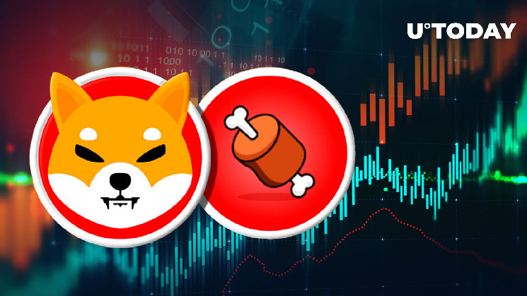 Shiba Inu BONE Cho thấy Khối lượng tăng 205% khi giá giảm, Điều gì đang xảy ra?