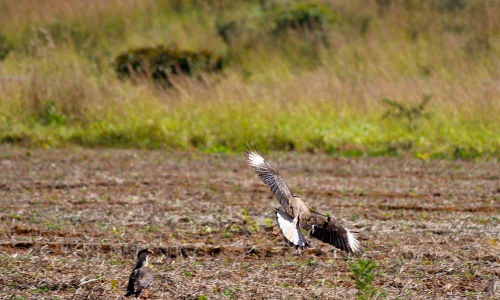 Singapore chấp thuận theo quy định đối với sàn giao dịch này
