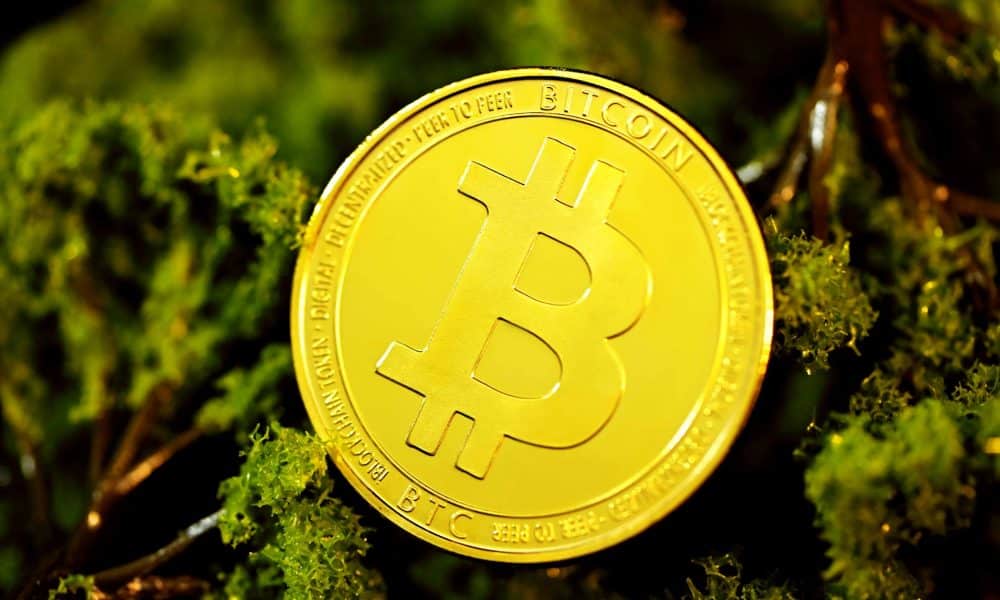 Tại sao những người nắm giữ BTC ngắn hạn sở hữu 23% BTC có thể hành động ủng hộ đồng tiền vua