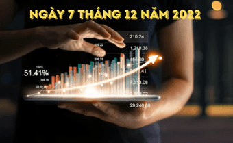 tin tức tiền điền tử ngày 7 tháng 12 năm 2022
