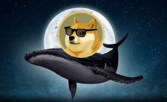 Cá voi đầu tư vào DOGE với hơn 100000USD