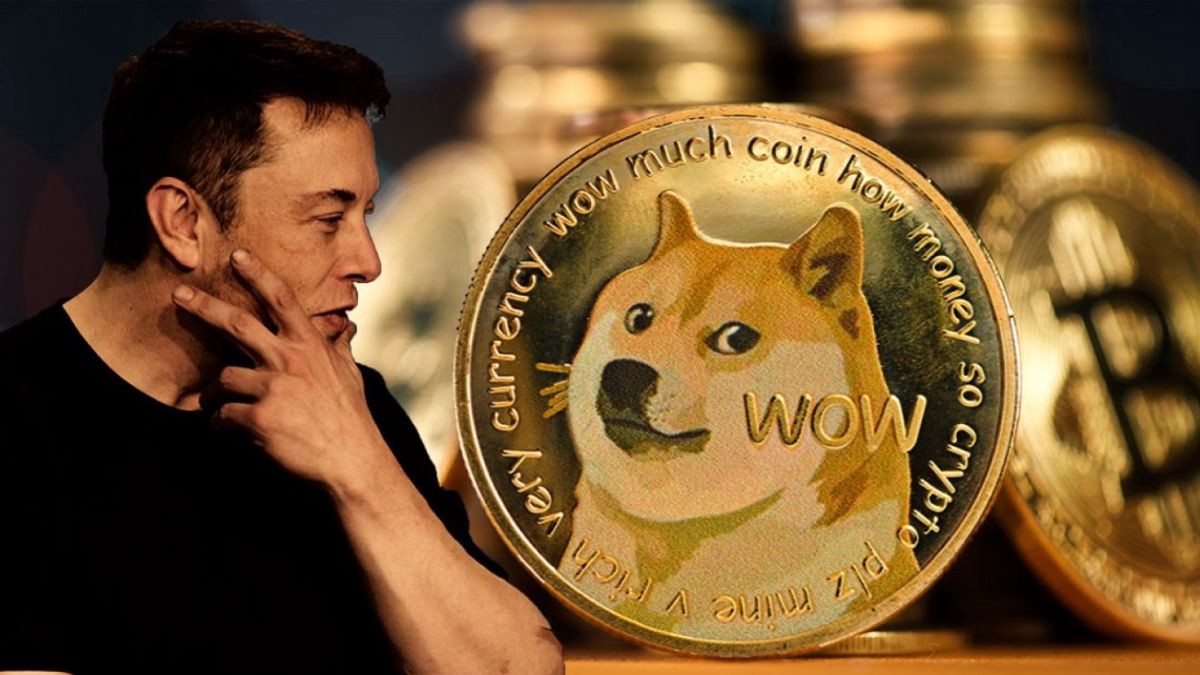 Elon Musk đưa Dogecoin khỏi sự sụp đổ