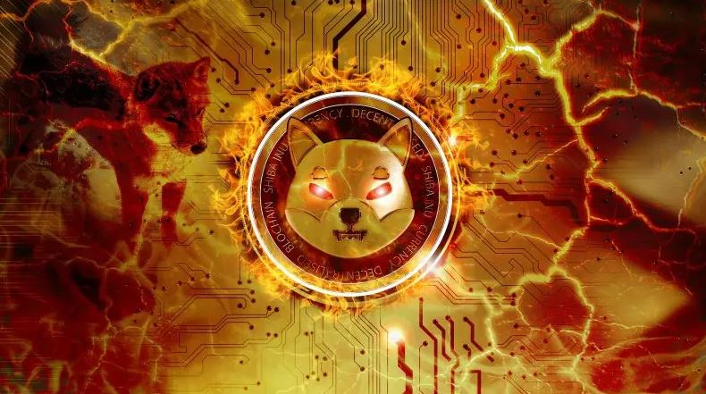 Tốc độ đốt của Shiba Inu tăng