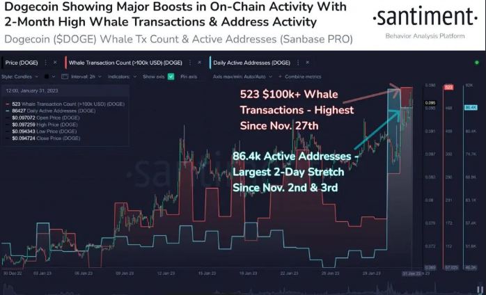 Cá voi đầu tư vào DOGE với hơn 100000USD cá voi doge