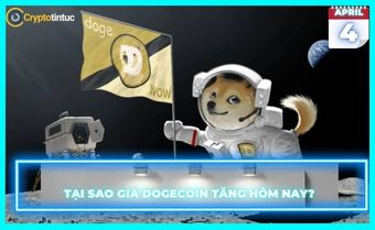 Tại sao giá Dogecoin tăng hôm nay