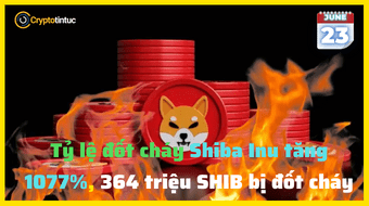 Tỷ lệ đốt cháy Shiba Inu tăng