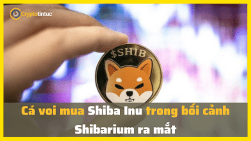 Cá voi mua Shiba Inu trong bối cảnh Shibarium ra mắt