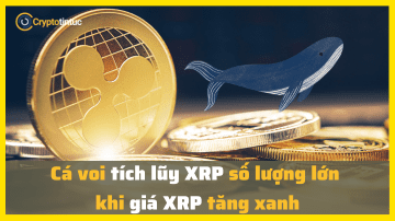 Cá voi tích lũy XRP số lượng lớn khi giá XRP tăng xanh
