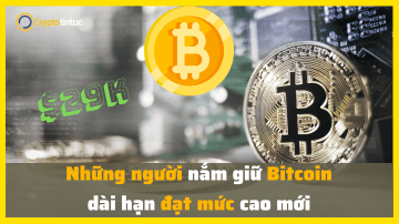 Những người nắm giữ Bitcoin dài hạn