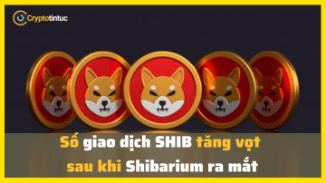 Số giao dịch SHIB tăng vọt sau khi Shibarium ra mắt
